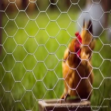 Home Garden Chicken Hexagonal Wire Malha de rede